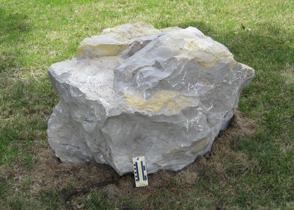 boulder 10 is Limestone and is located on the north side of Lindley Hall along Crescent Road.