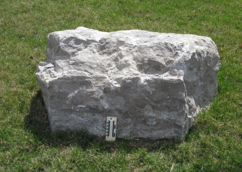 boulder 11 is limestone and is located on the north side of Lindley just off Crescent Road