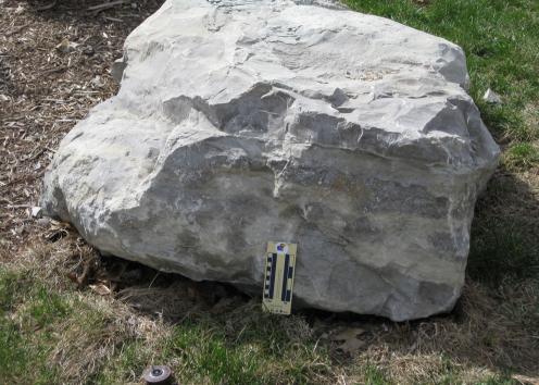 boulder 12 is limestone and is located on the north side of Lindley and Ritchie just off Crescent Road