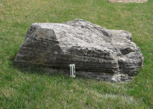 boulder 14 is limestone and is located west of Slawson hall just off Naismith Drive.