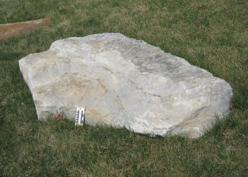 boulder 16 is limestone and is located west of Slawson Hall next to Naismith Drive.