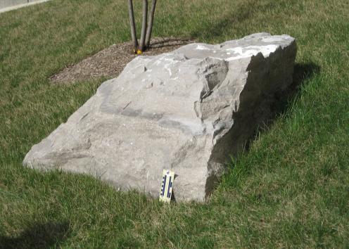 G-Hawk Courtyard Boulders | Earth, Energy & Environment
