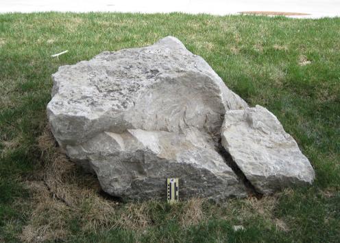 boulder 29 is limestone and is located on the east side of Slawson Hall.
