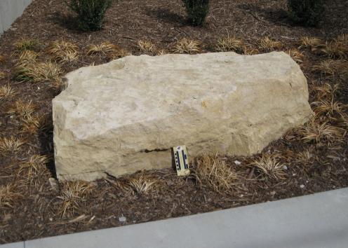 boulder 9 is Limestone and is located on the west side of Lindley by the stairs that lead up to Crescent Road.